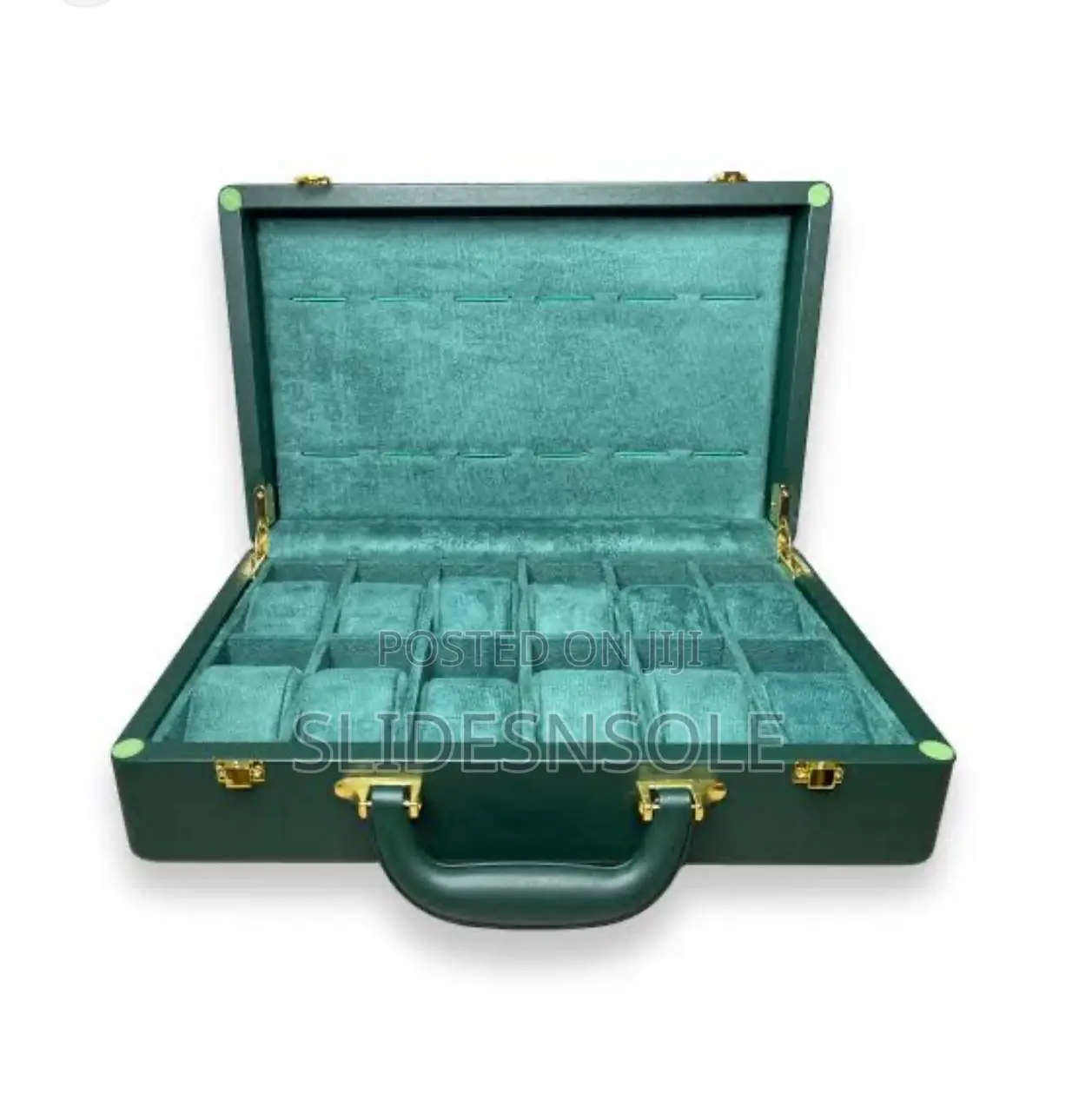 Luxury Watch Organizer