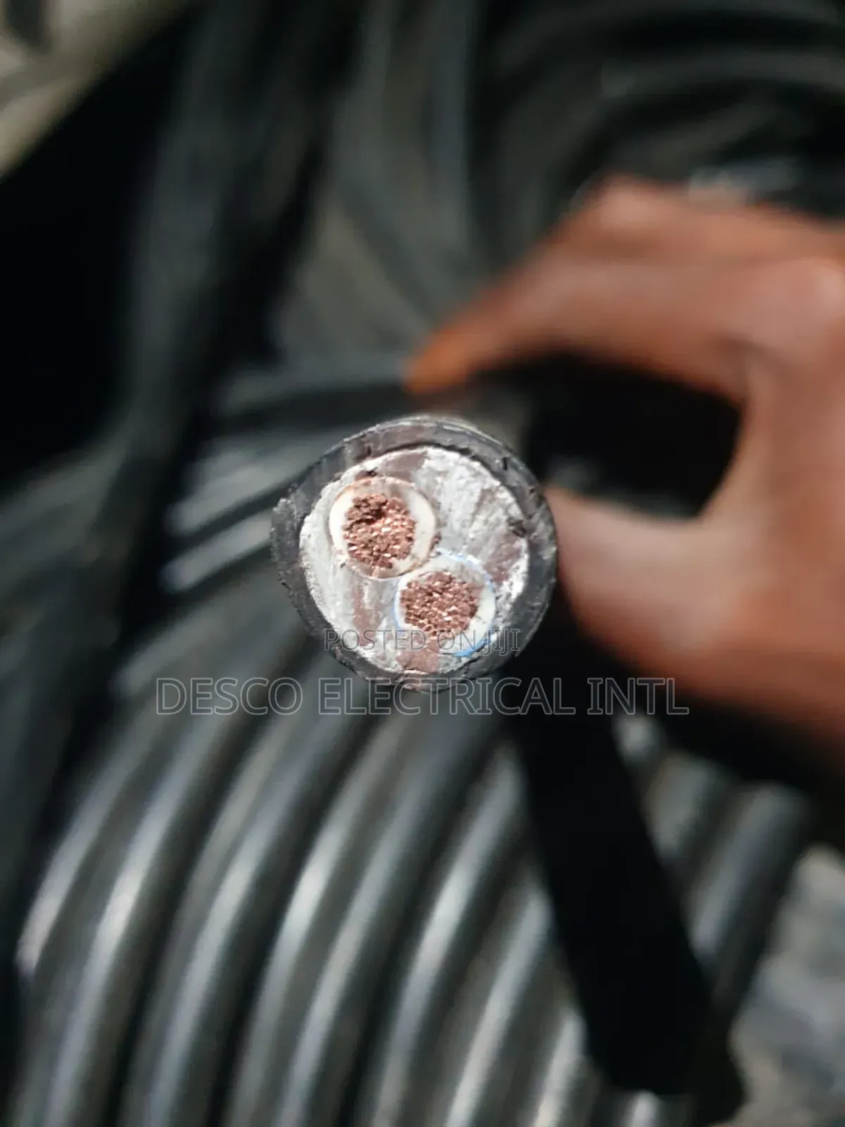 10mmx2core Flexible Wire