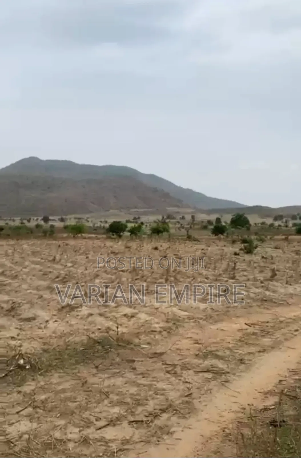 Estate Land