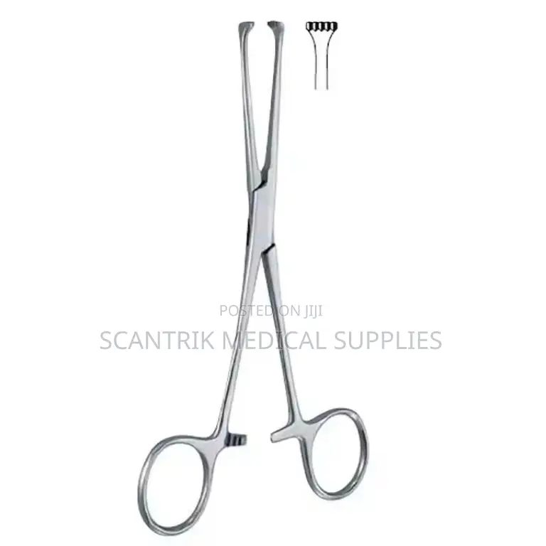 Allis Tissue Forceps Distributors in Nigeria (Top Quality)