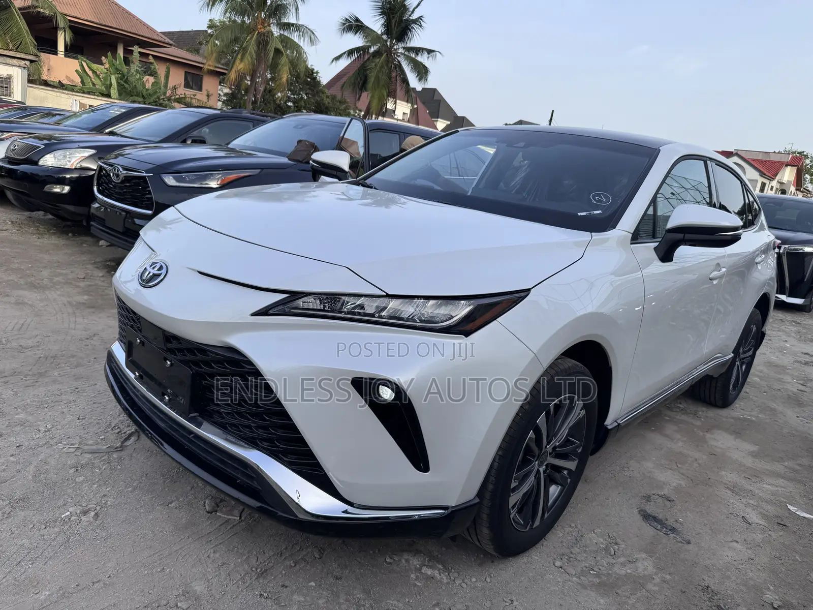 New Toyota Venza 2024 White