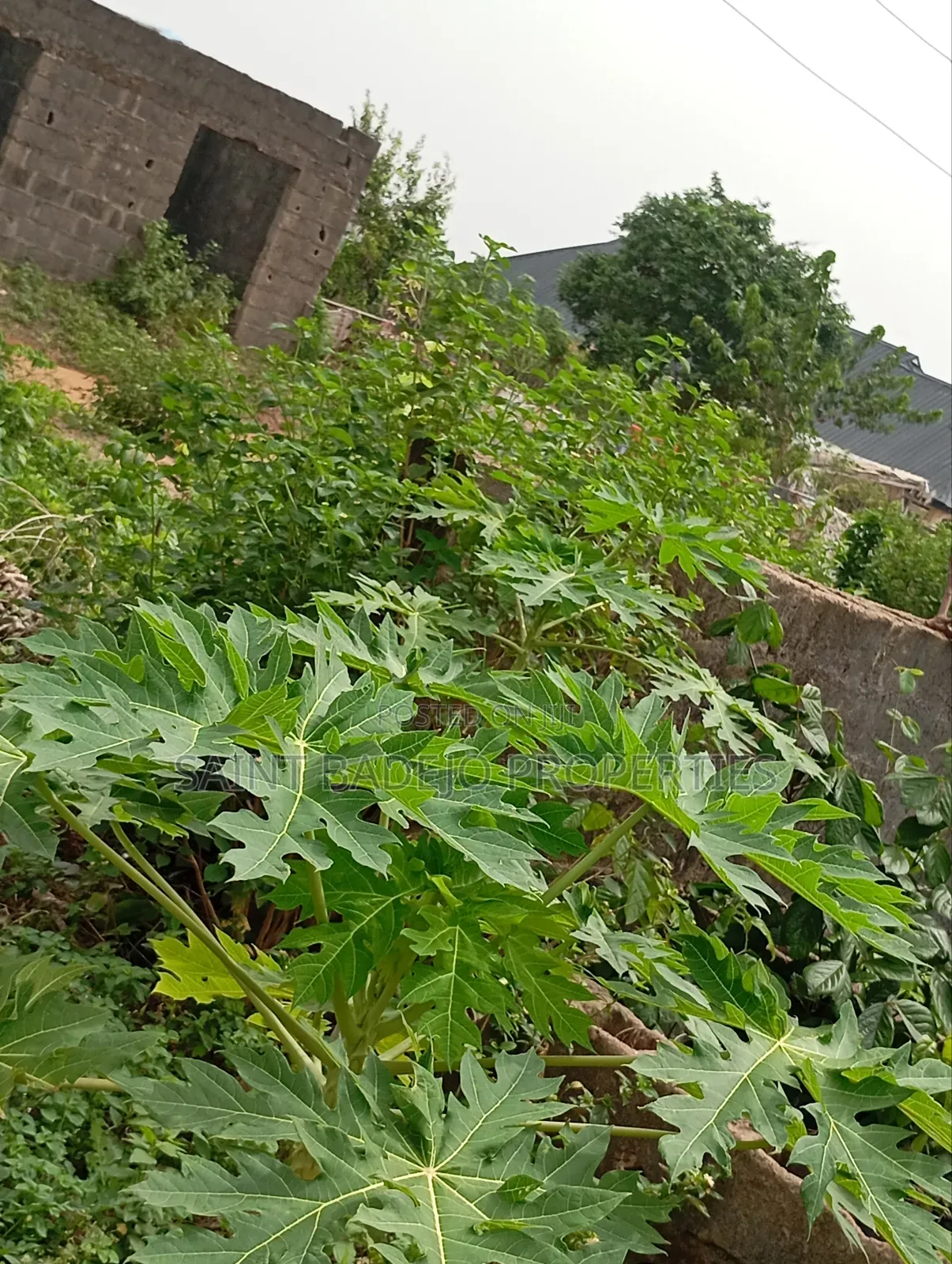 Land for Sale