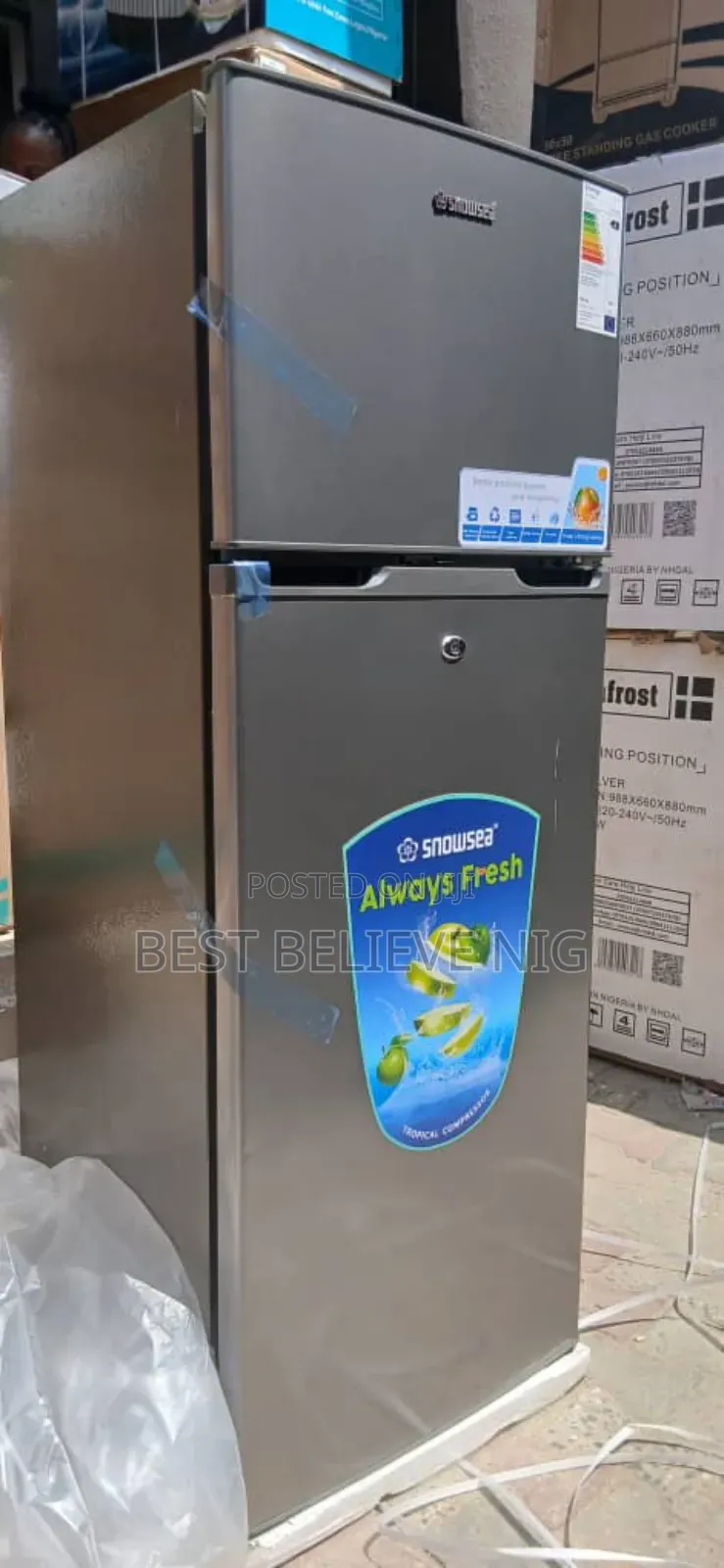 Original Standing Fridge 300l