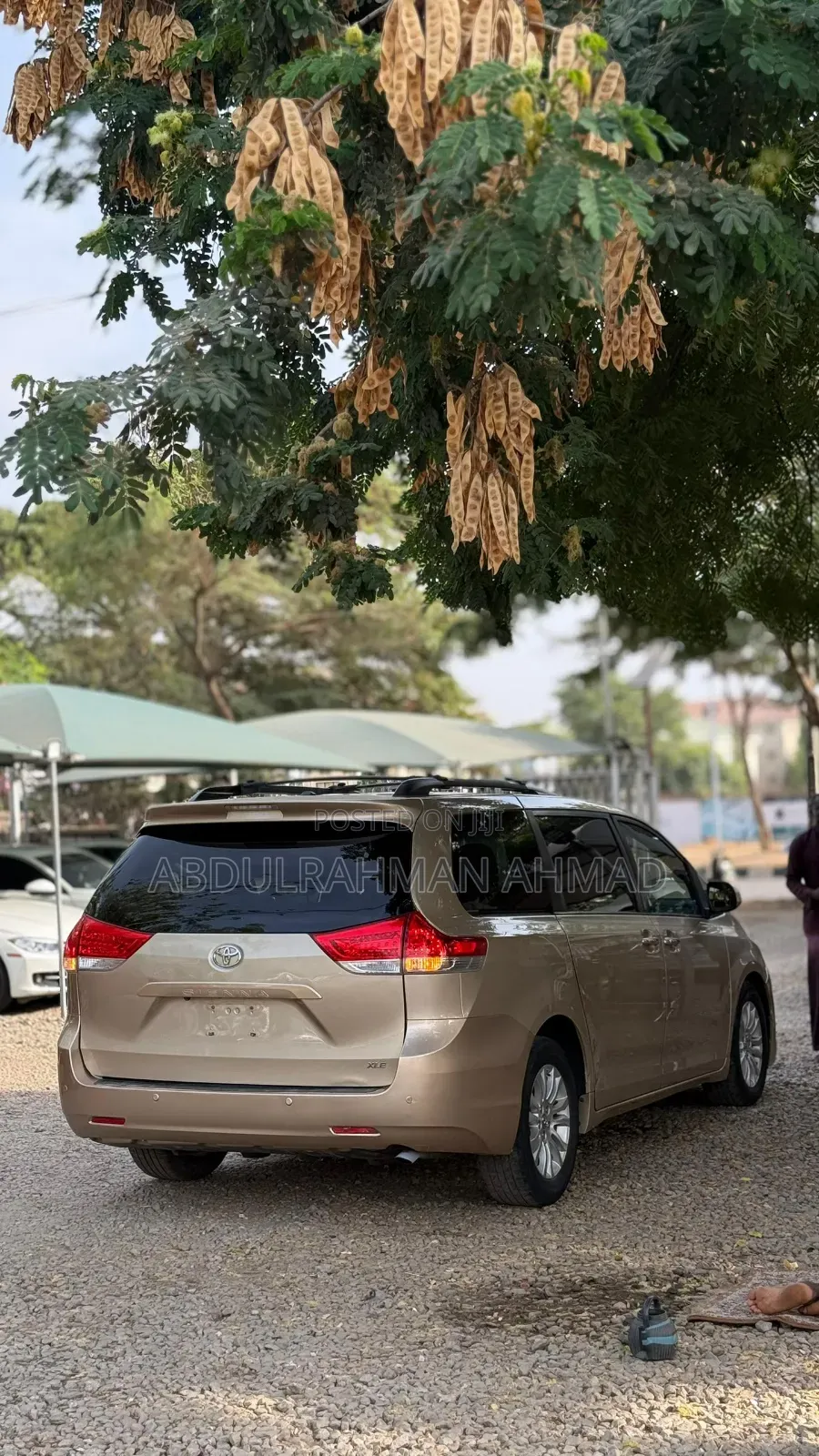 Toyota Sienna XLE FWD 8-Passenger 2013 Gold