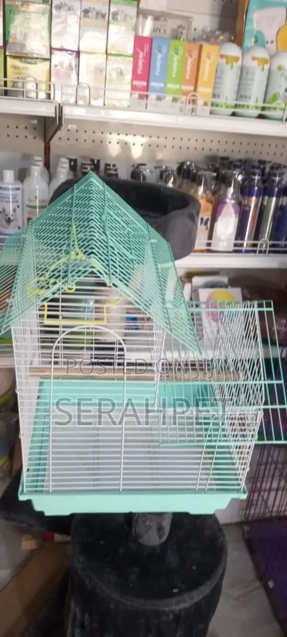Canery Cage Available for Sale