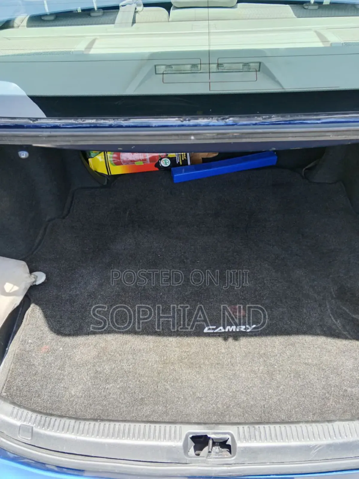 Toyota Camry 2010 Blue