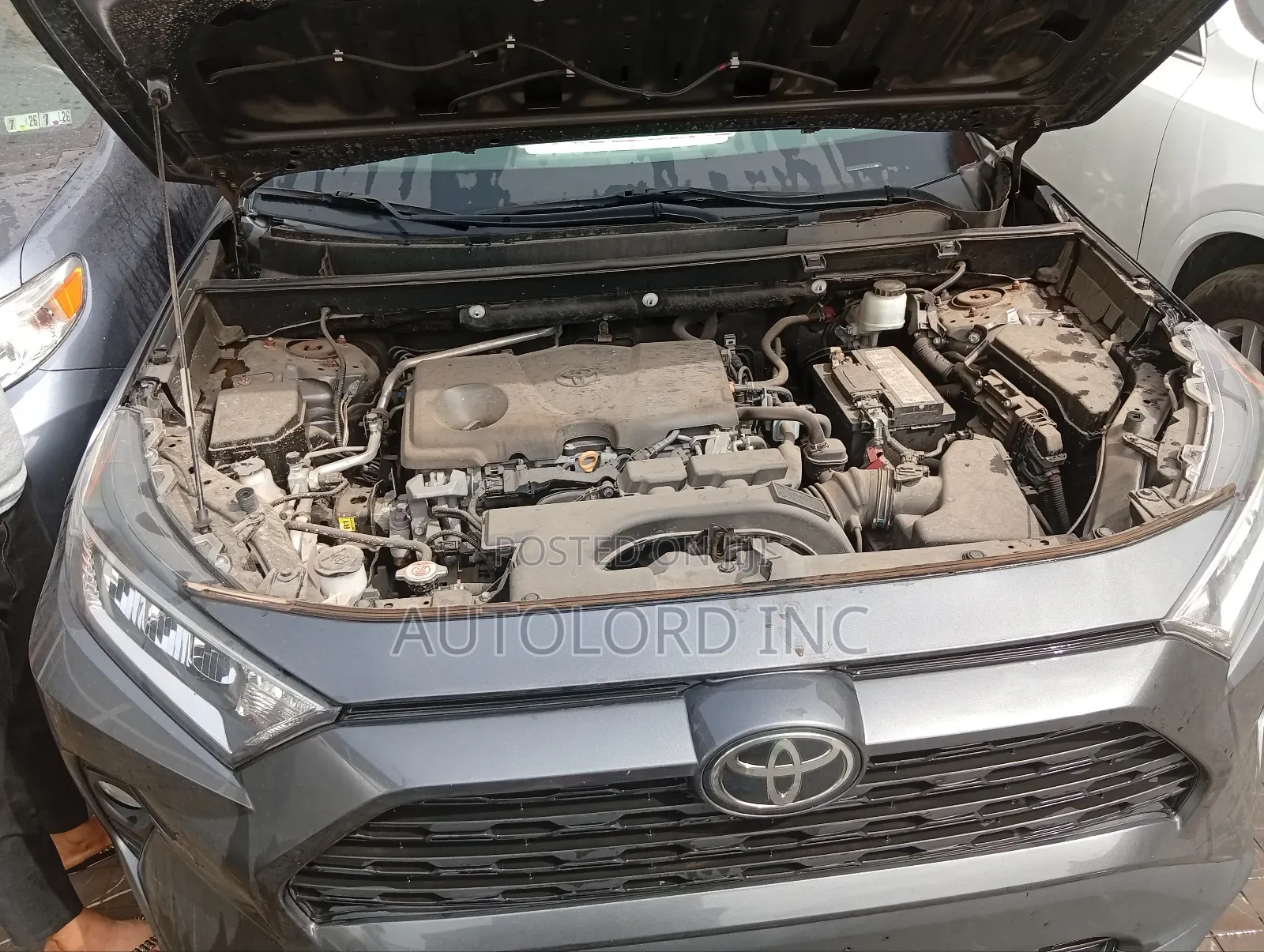 Toyota RAV4 XLE AWD 2020 Gray