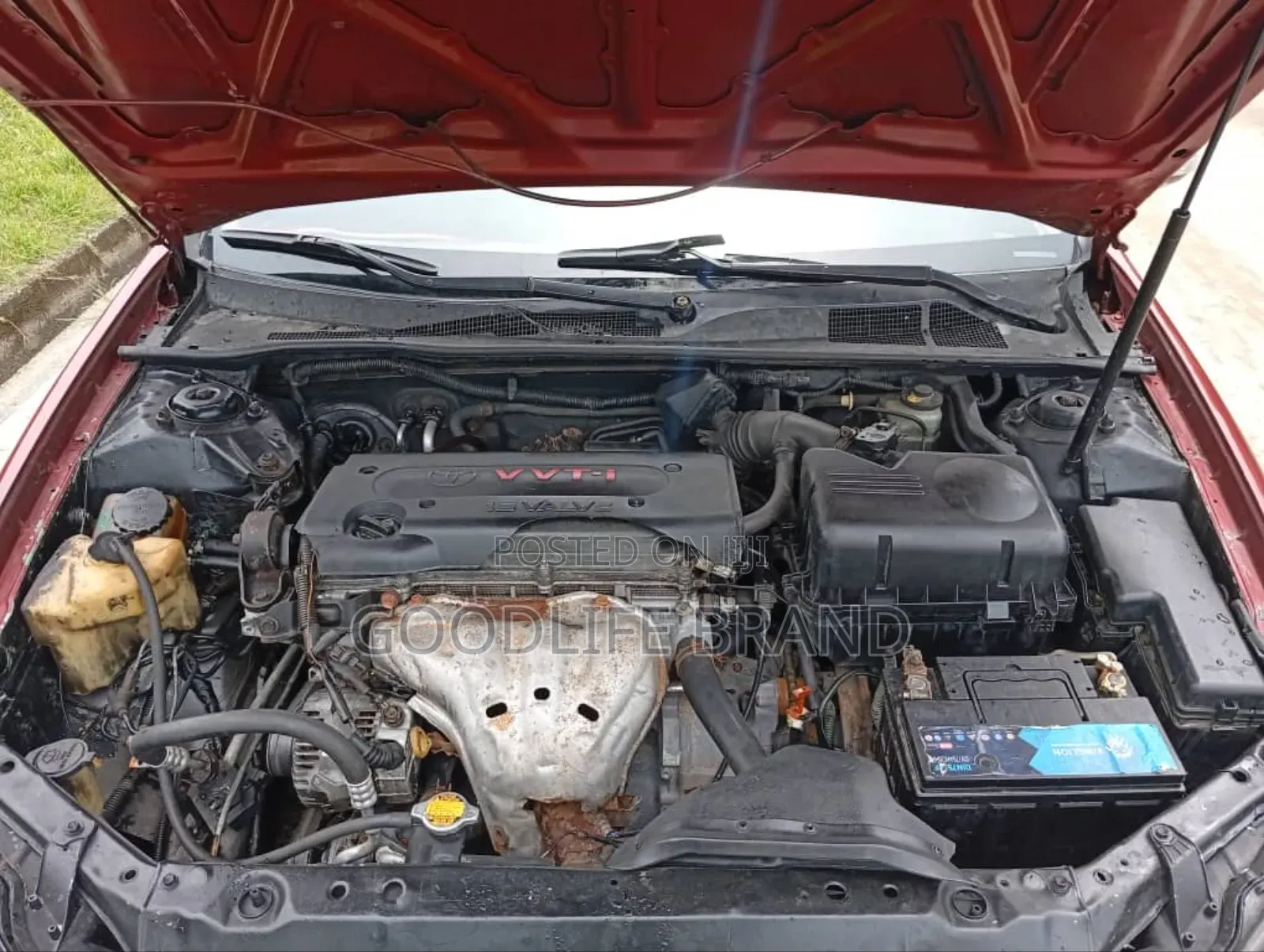 Toyota Camry XLE V6 4dr Sedan (3.0L 6cyl 5A) 2005 Red