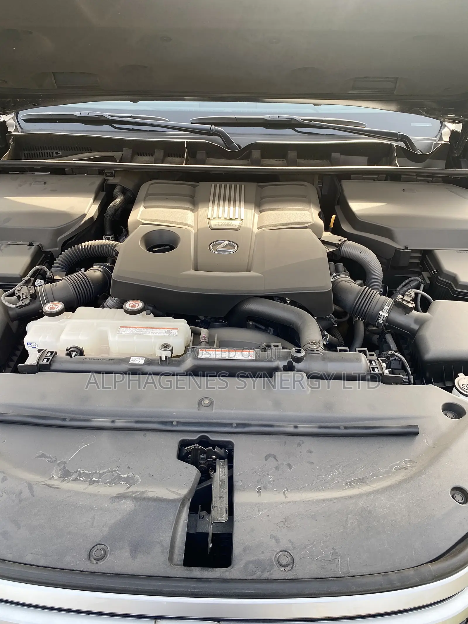 New Lexus LX LX 600 2025 Green