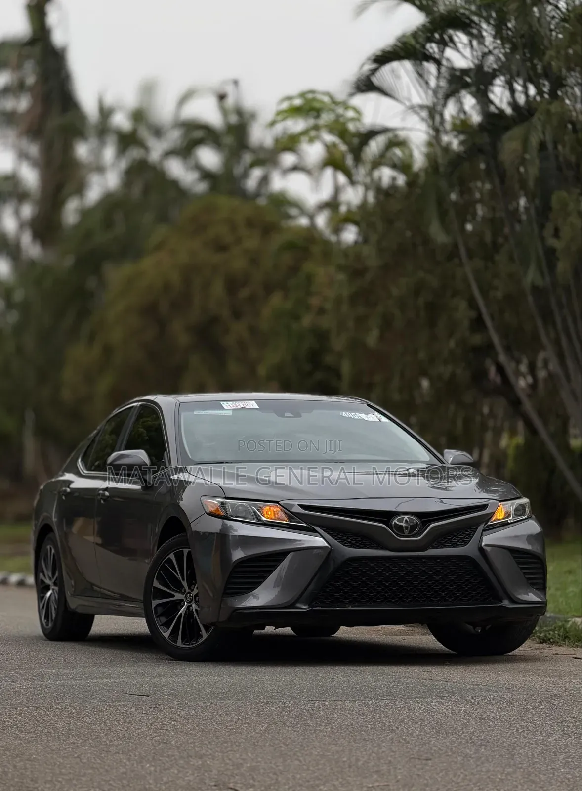 Toyota Camry SE FWD 2020 Gray