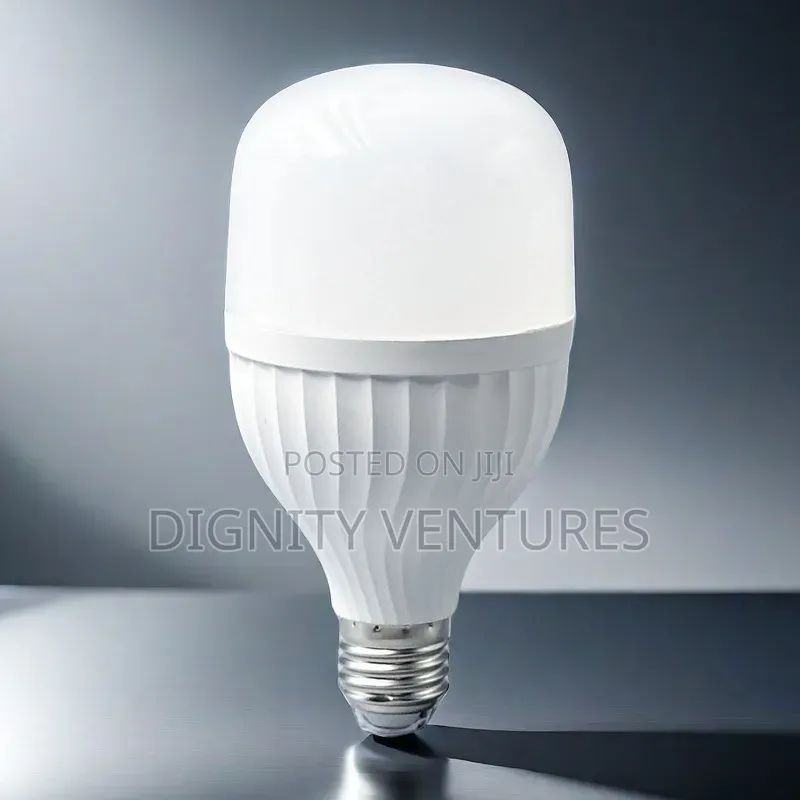 Rechargeable Bulb