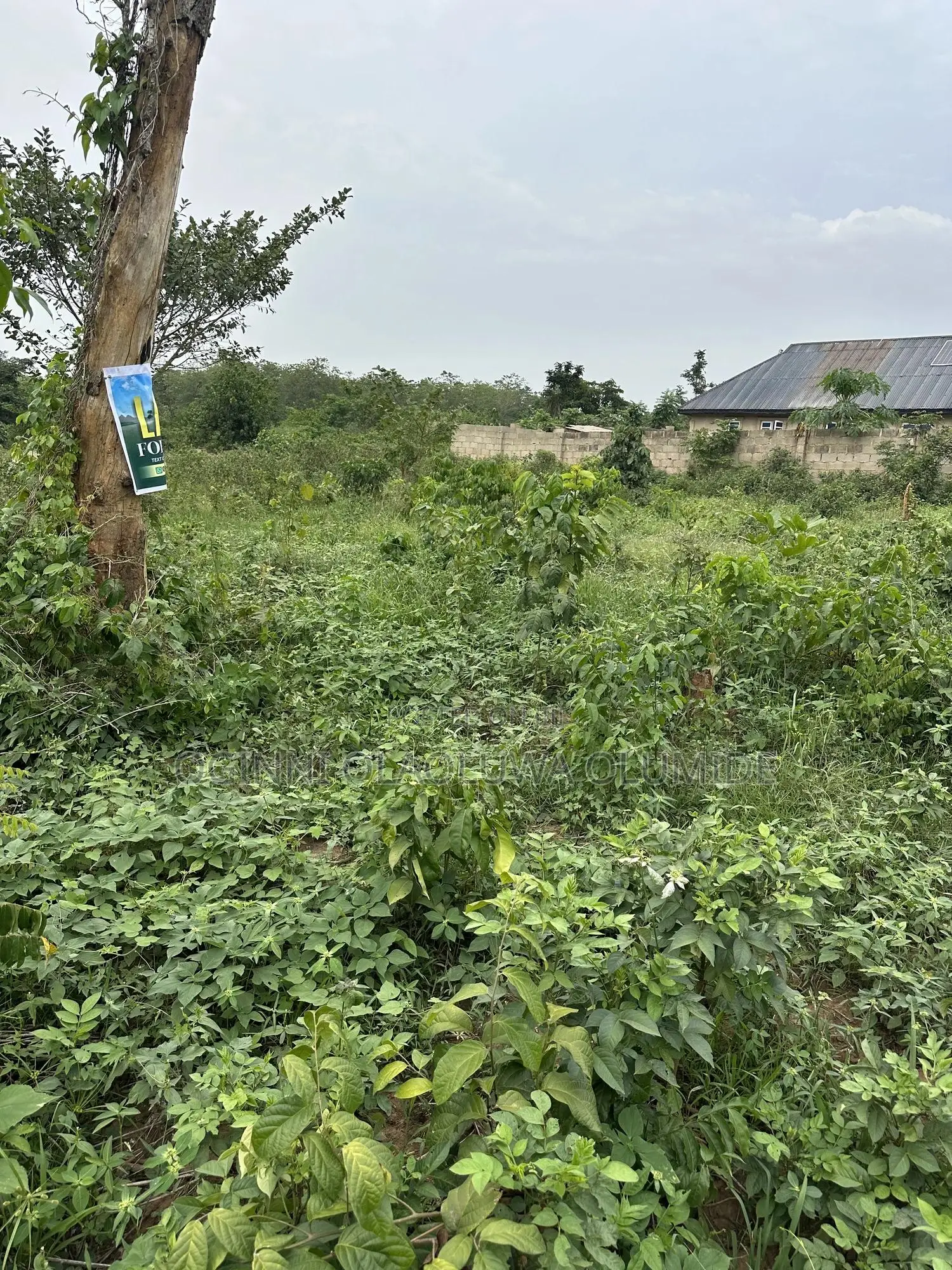 1plot of Land at Orita Iloko After Gold Fm