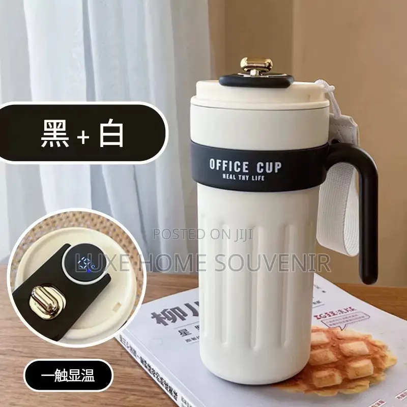 Temperature Mug