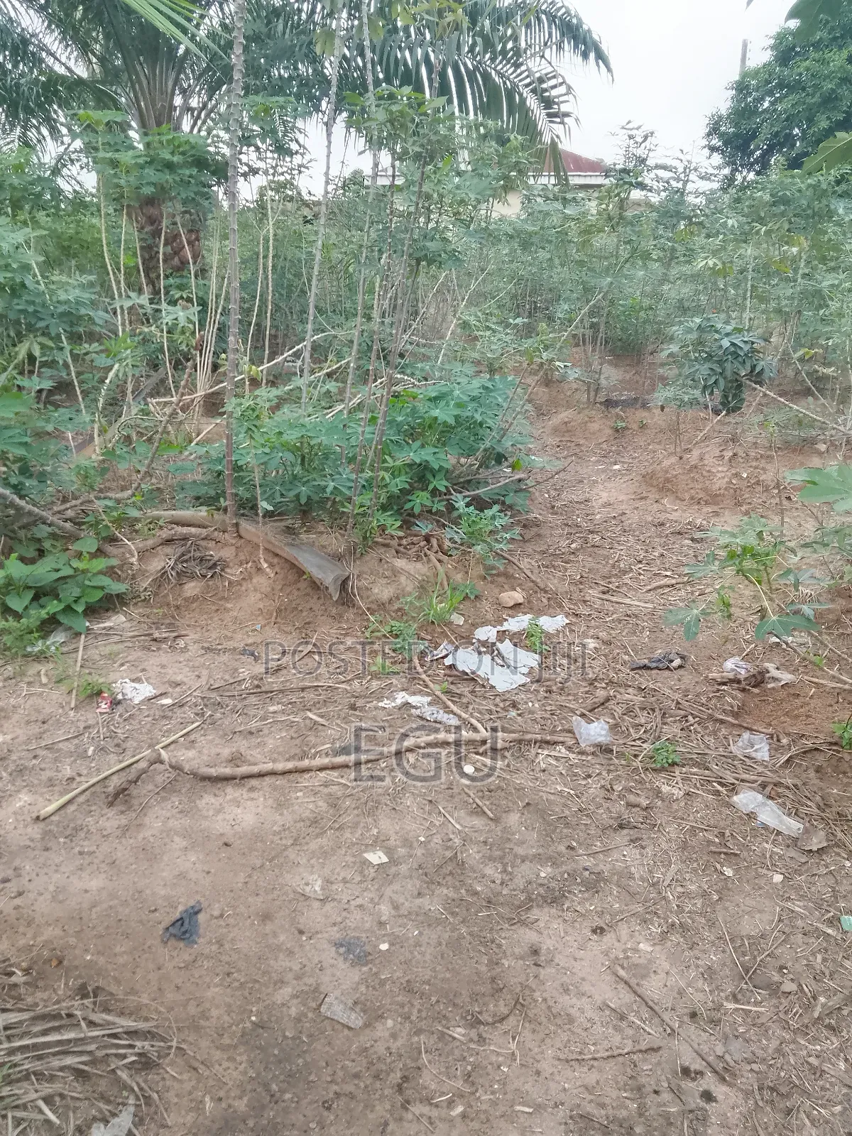 A Plot of Land in Nike