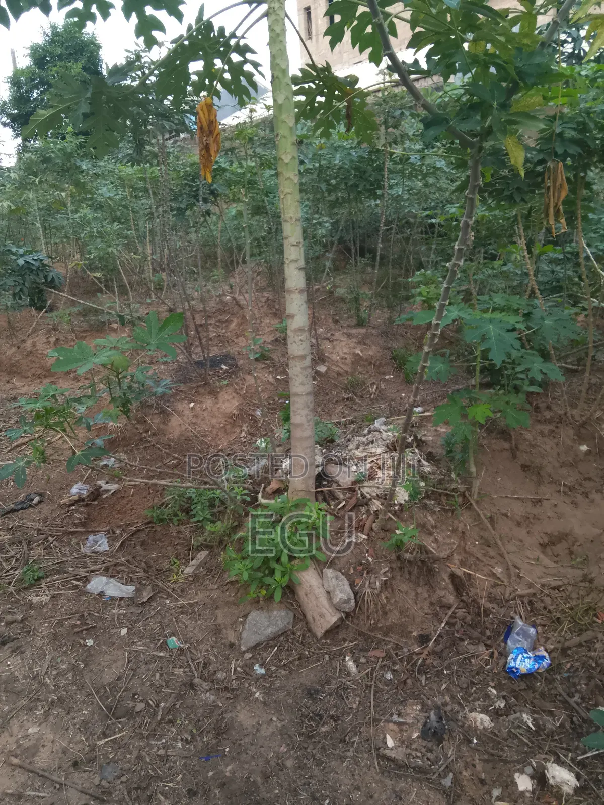 A Plot of Land in Nike
