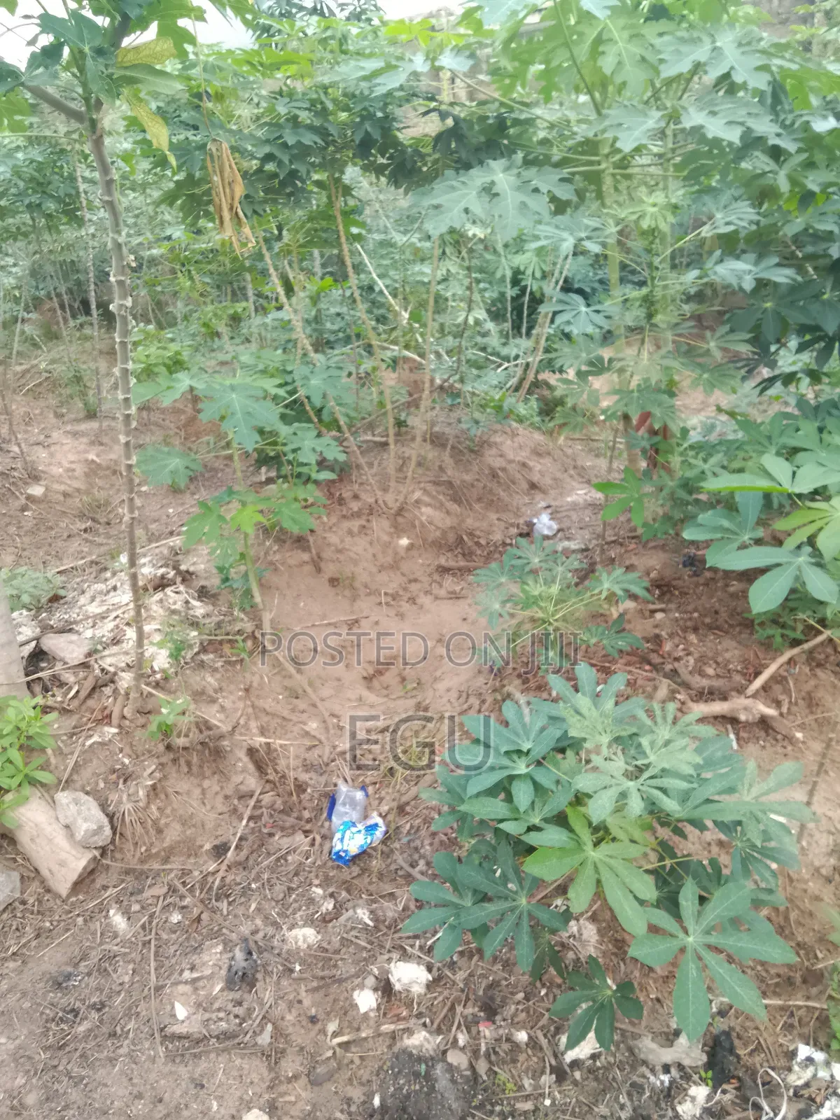 A Plot of Land in Nike