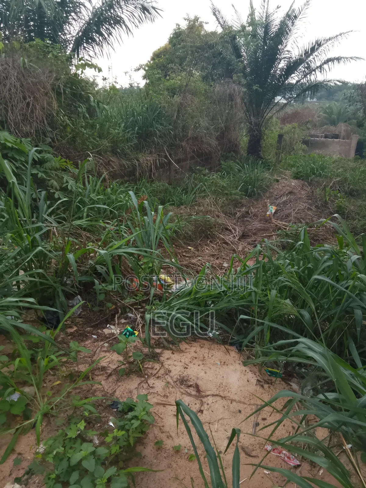 A Plot of Land in Abakpa