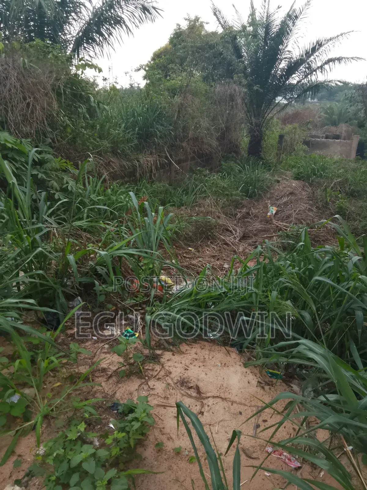 A Plot of Land in Abakpa