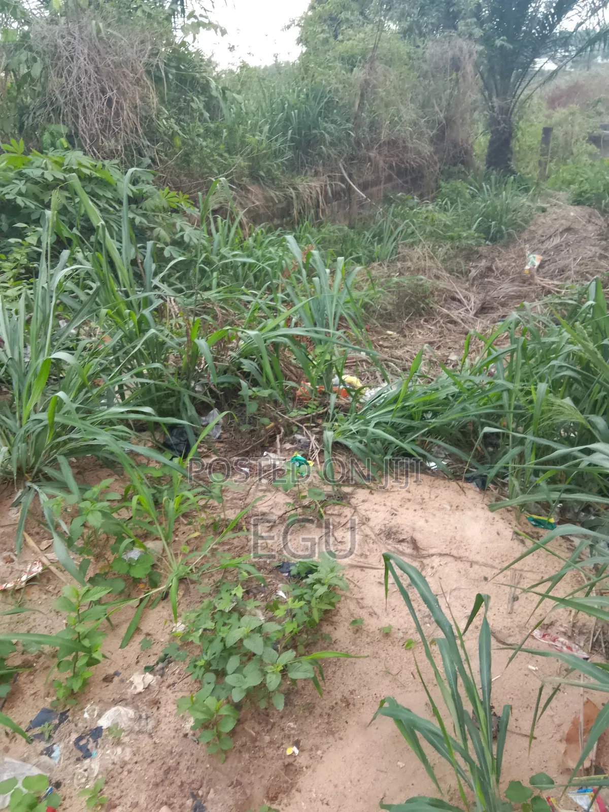 A Plot of Land in Abakpa