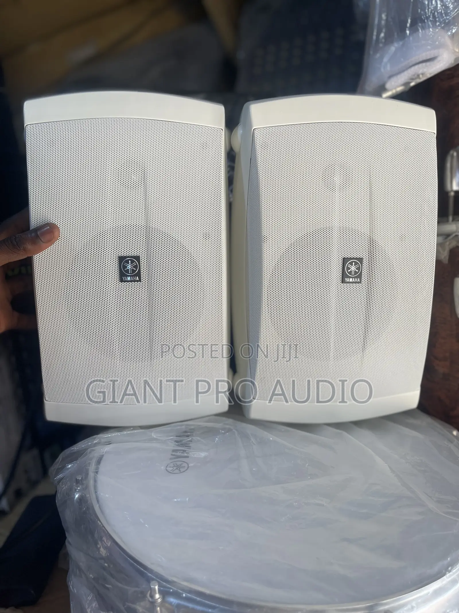 Yamaha Outdoor Speaker