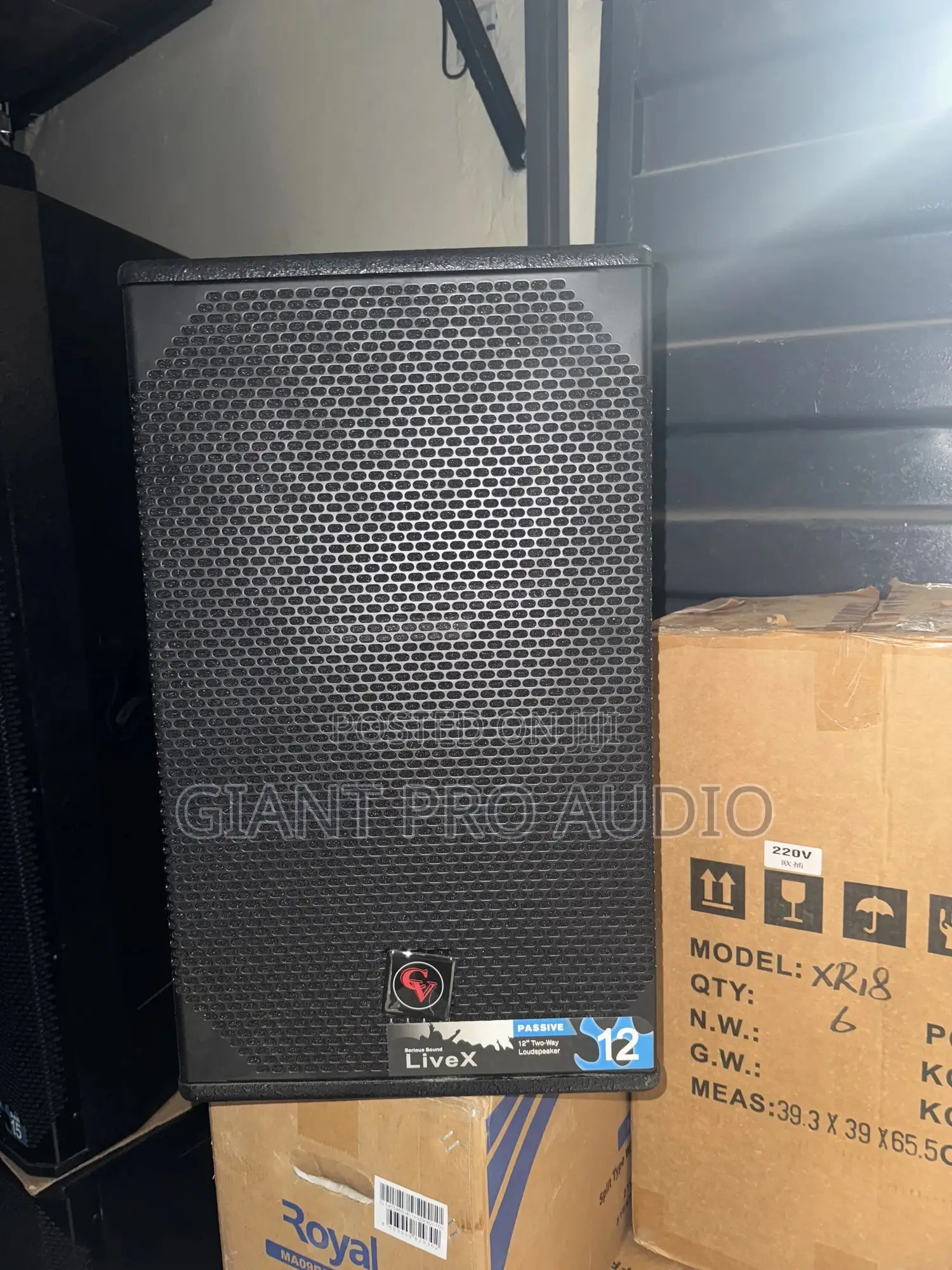 Professional Cv 12 Inches Single Speaker