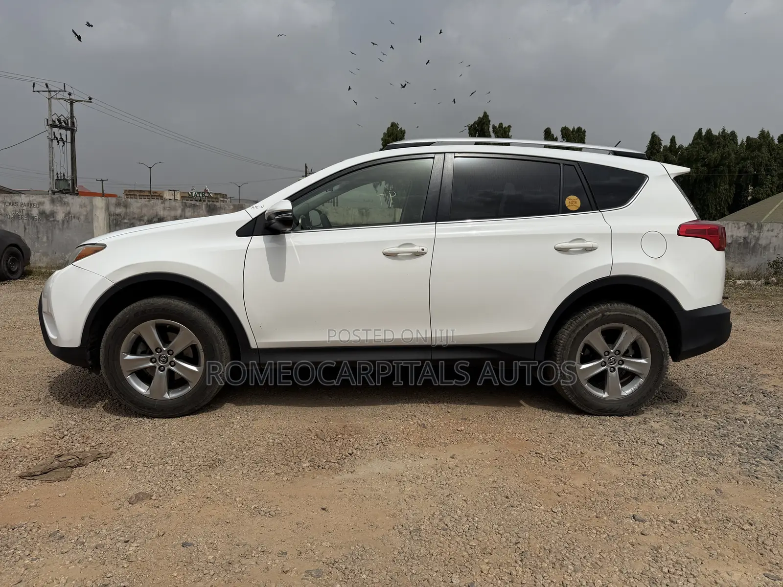 Toyota RAV4 XLE 4dr SUV (2.5L 4cyl 6A) 2014 White