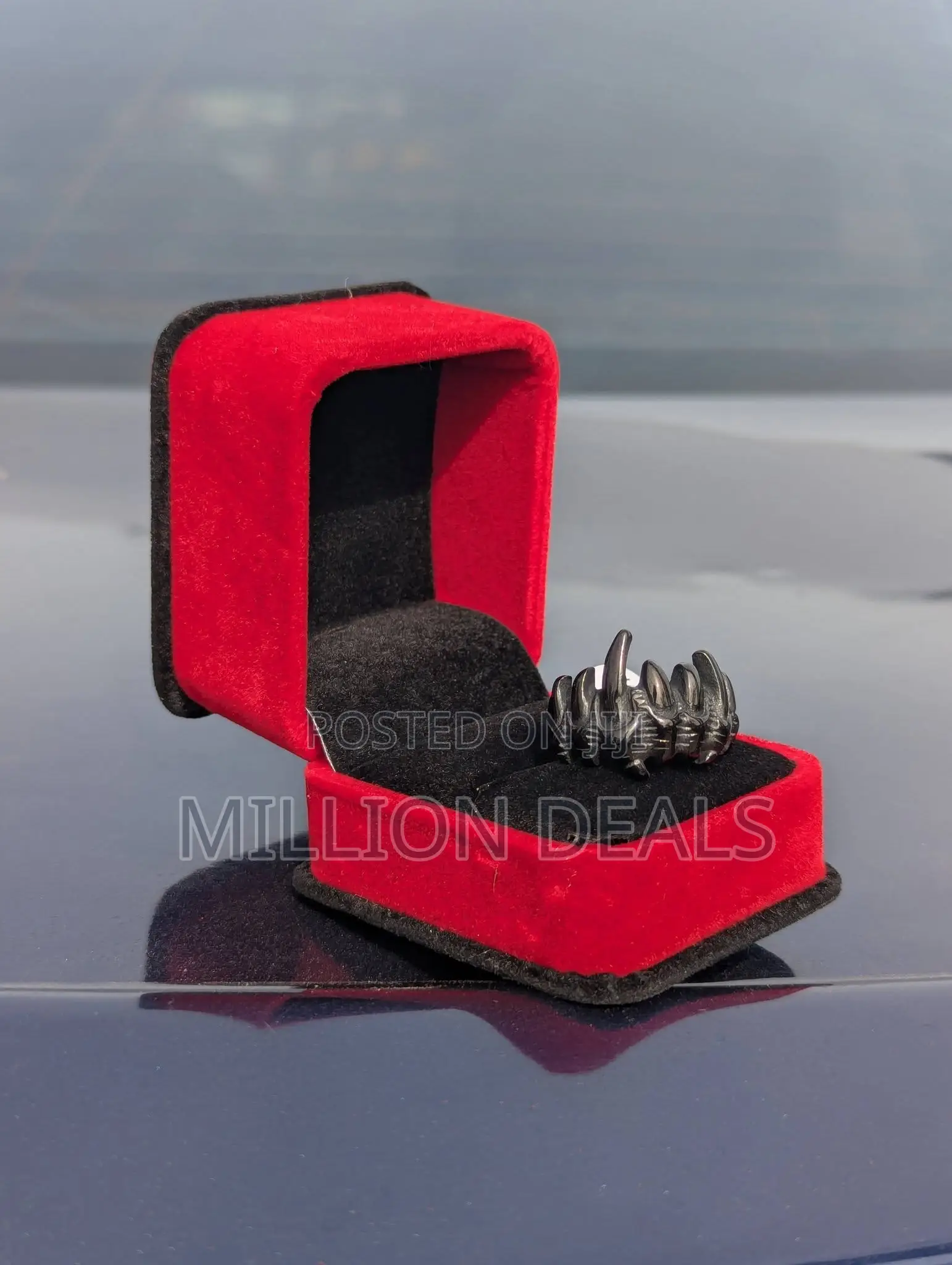 Black Thrones Inspired Men's Ring