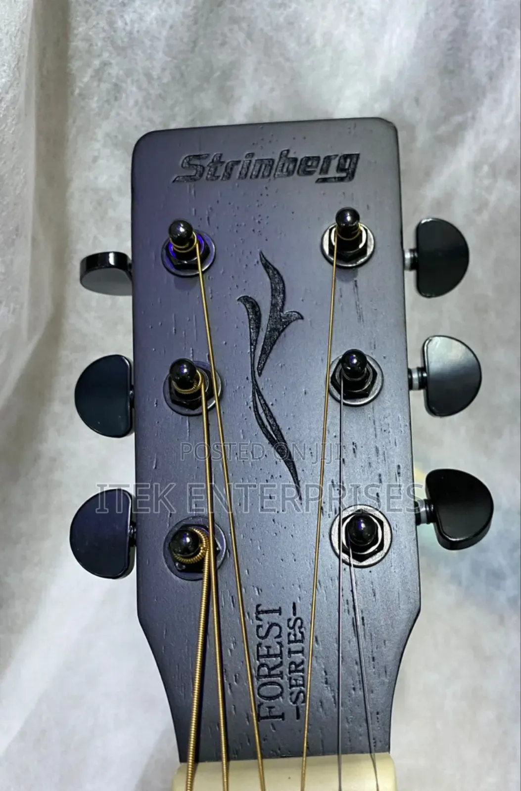 Strinberg Acoustic-Electric Guitar
