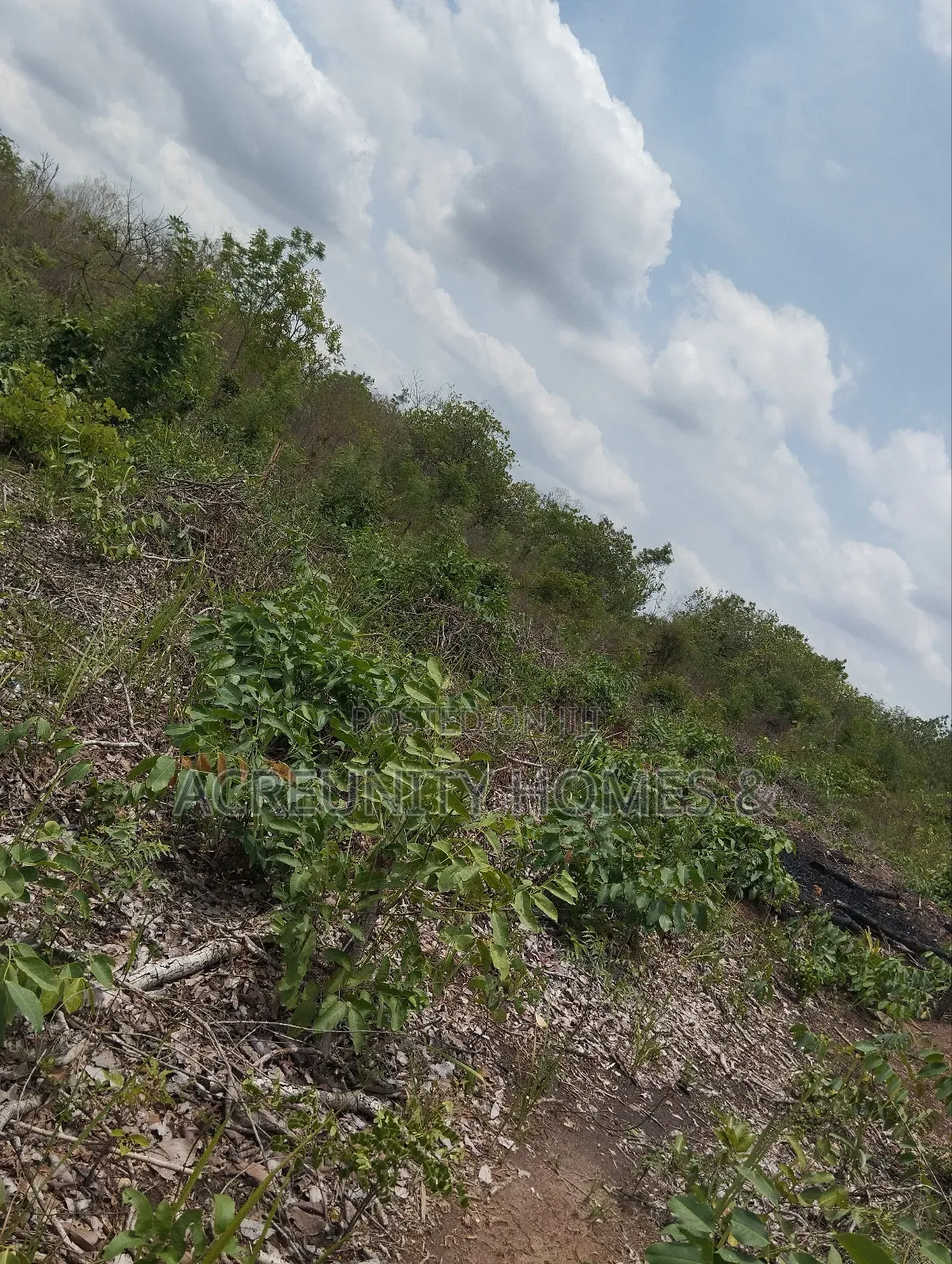 70 Acres of Fertile Farmland, Olora Village, Iseyin, Oyo State