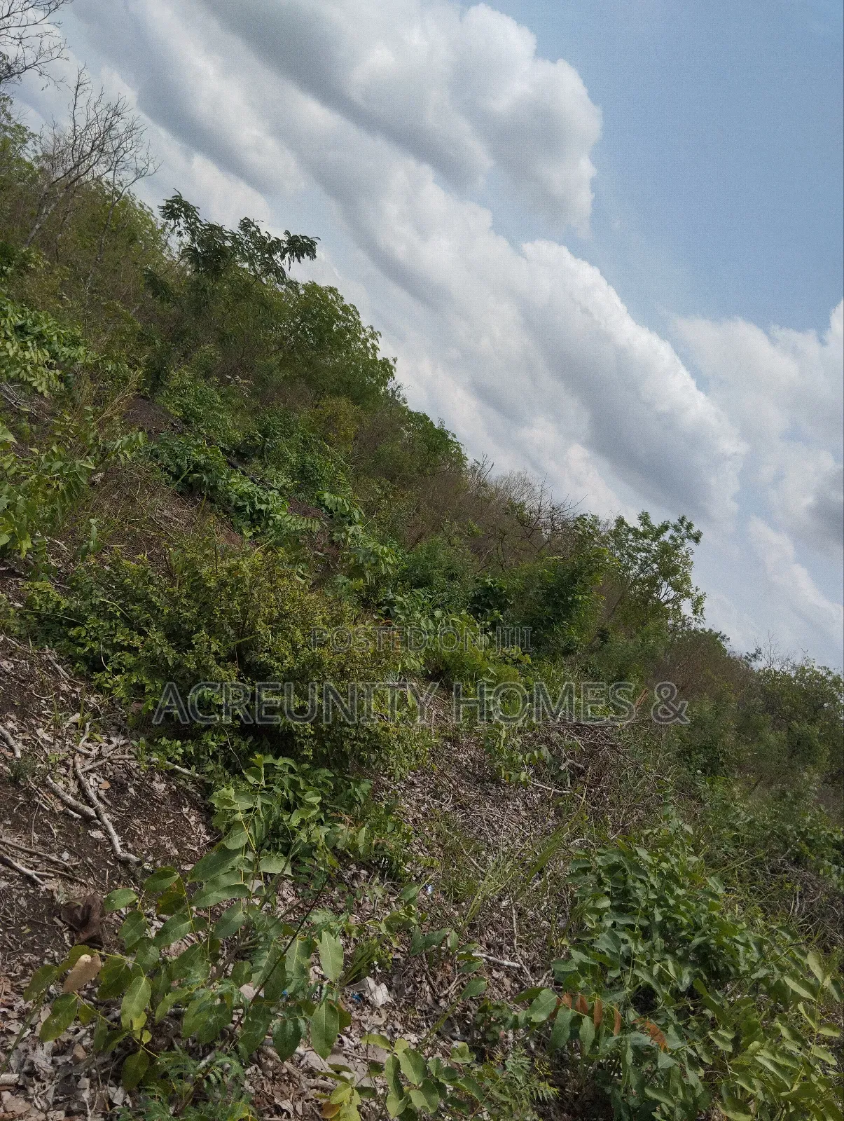 70 Acres of Fertile Farmland, Olora Village, Iseyin, Oyo State