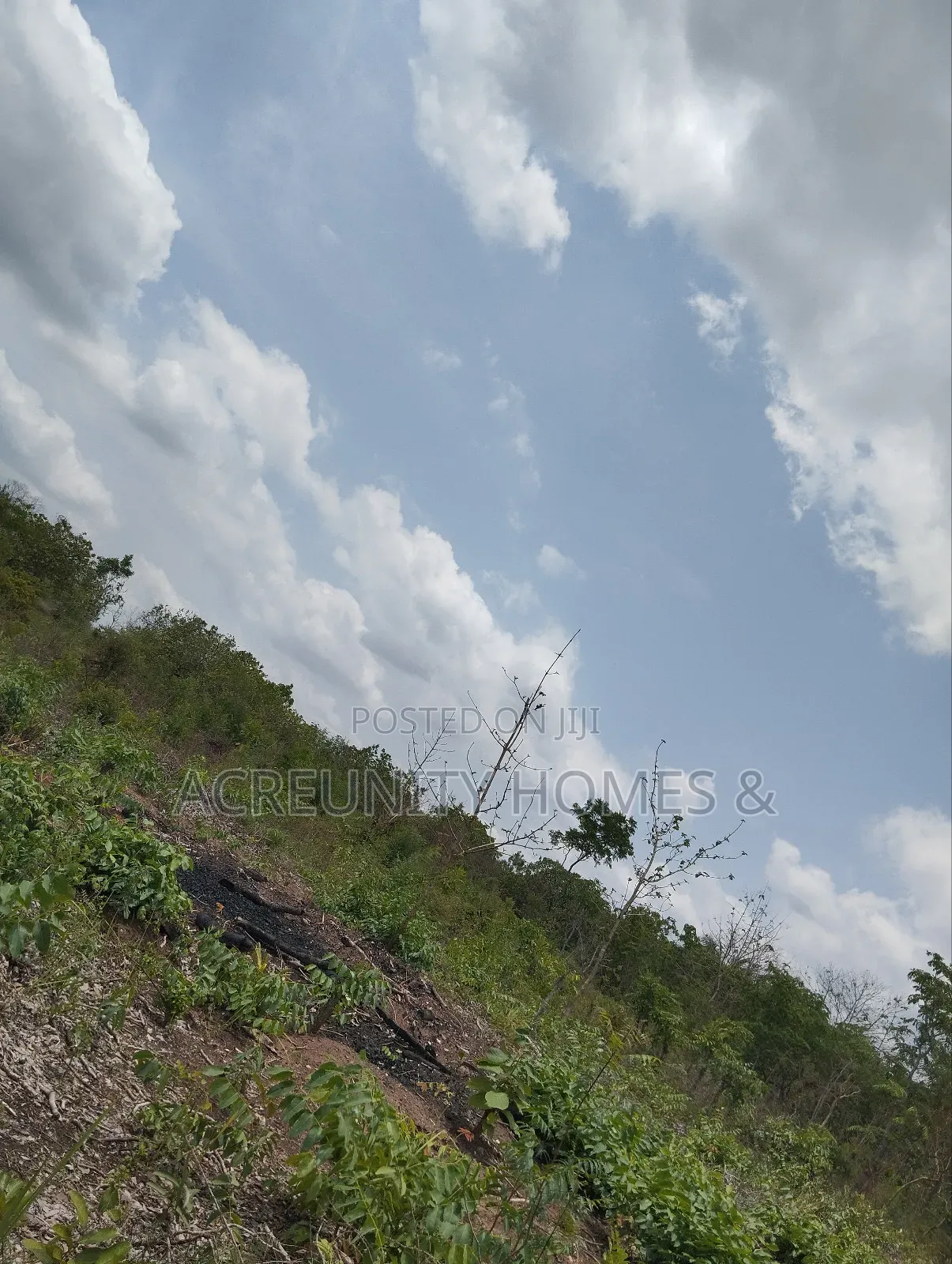 70 Acres of Fertile Farmland, Olora Village, Iseyin, Oyo State