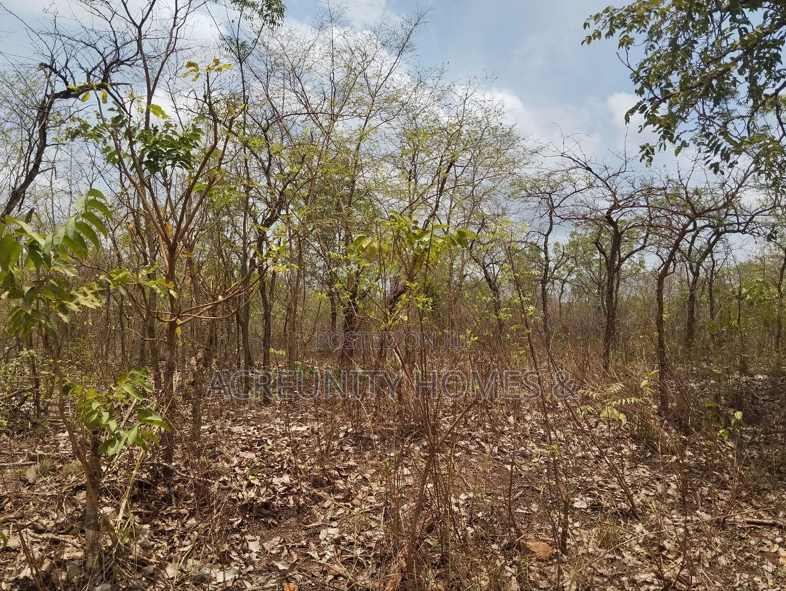 40 Acres Available for Sale at Alesinloye Village, Iseyin , Oyo State