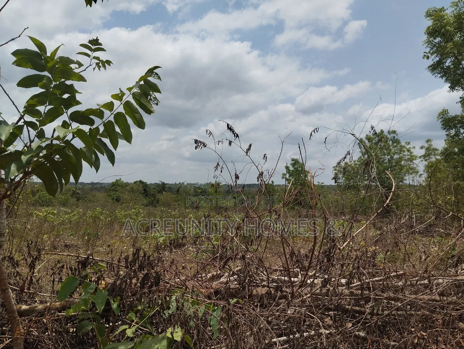 40 Acres Available for Sale at Alesinloye Village, Iseyin , Oyo State