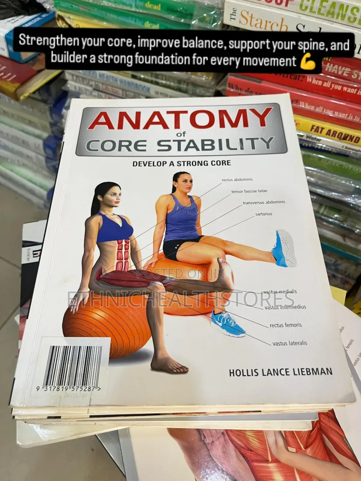Anatomy of Core Stability by Hollis Lance Liebman