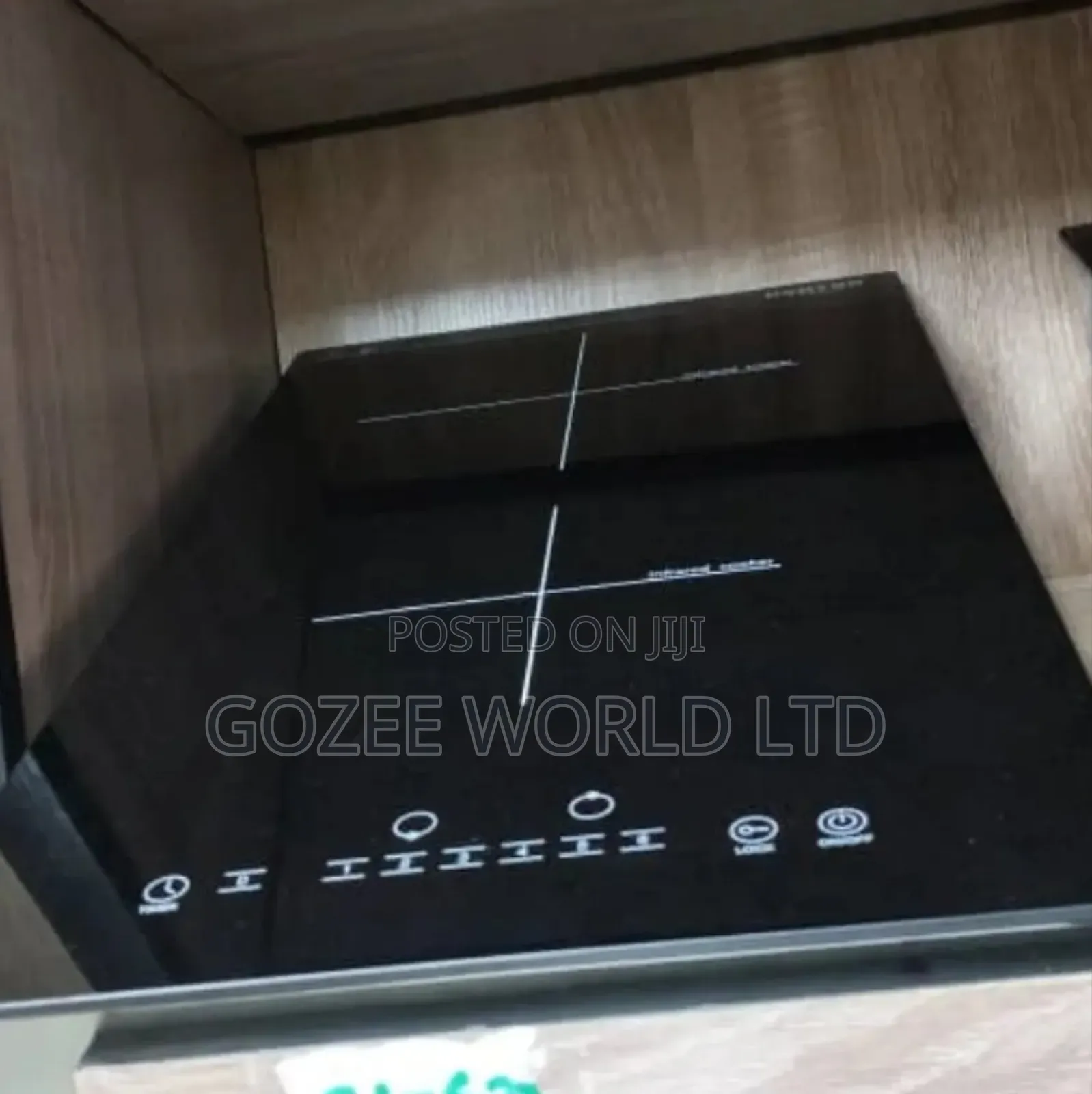 2 Burner Induction Hotplate
