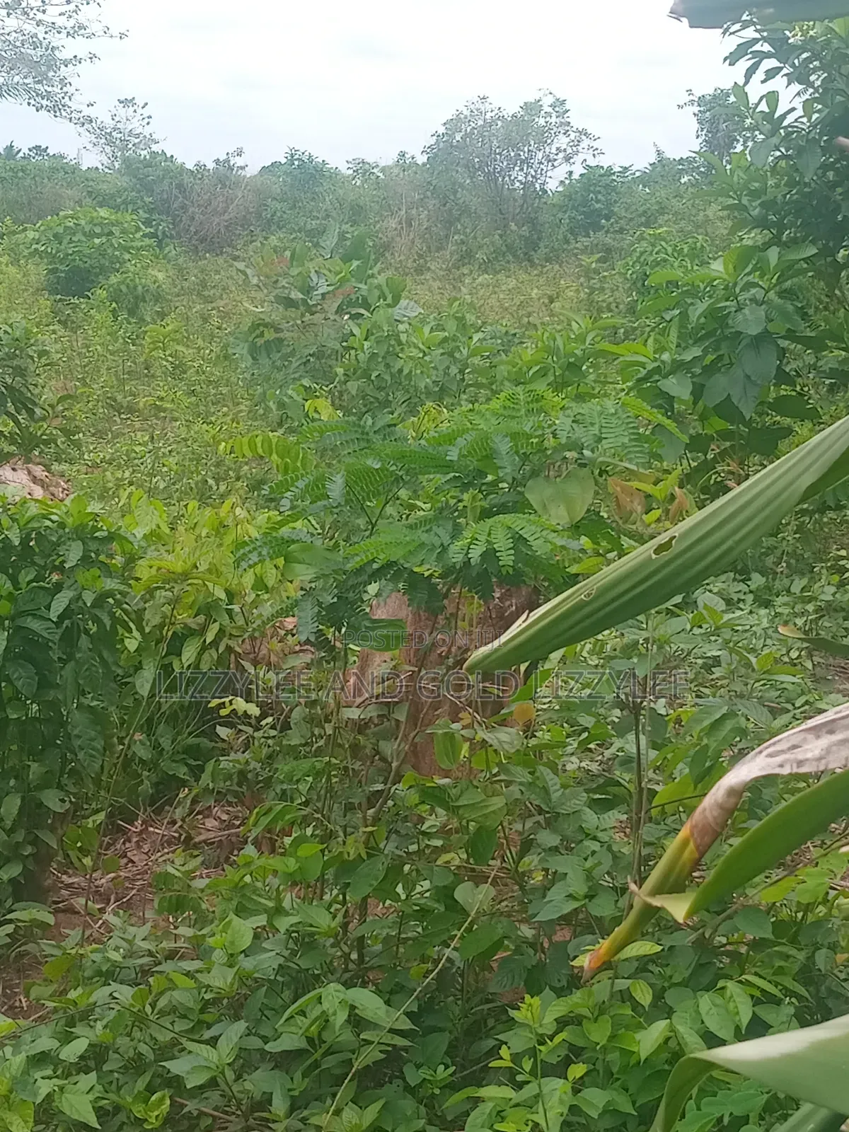 1000 Acres of Farmland for Sale