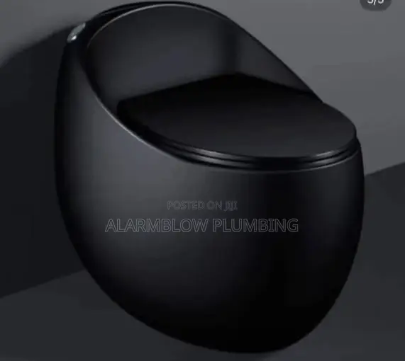 Sleek, Black Egg-Shaped One-Piece Toilet