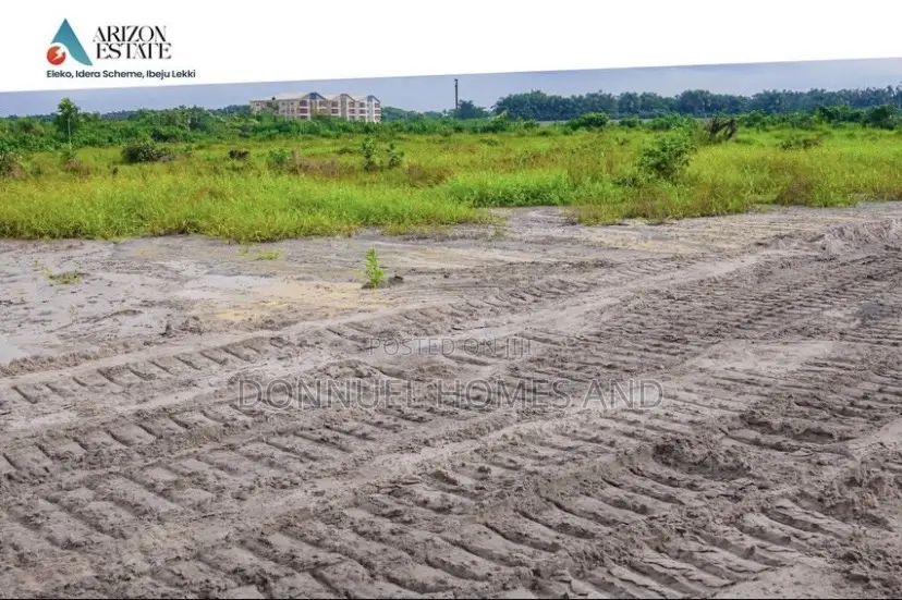 Certificate of Occupancy ( C of O )