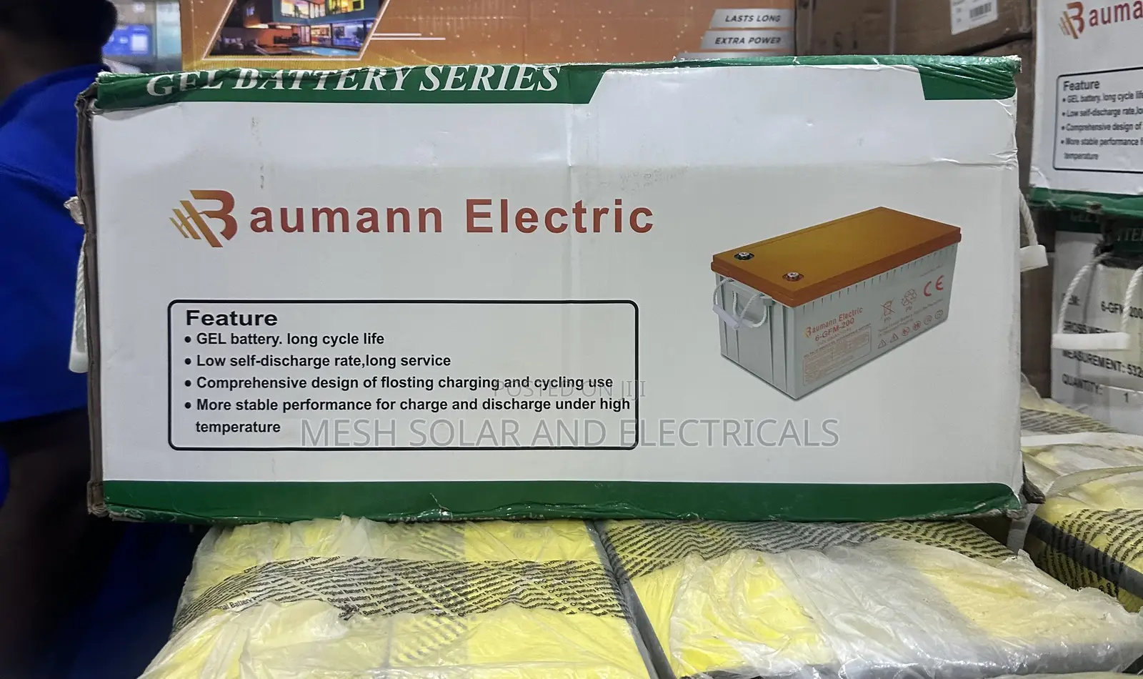 Bauman Electric 200ah 12v