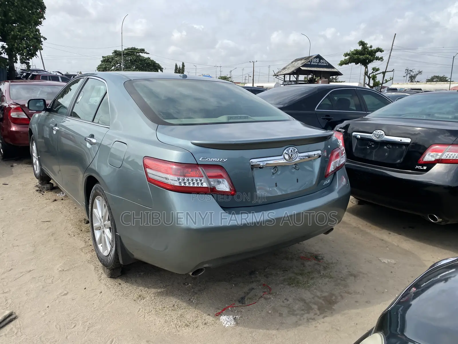 Toyota Camry XLE V6 4dr Sedan (3.5L 6cyl 6A) 2011 Green