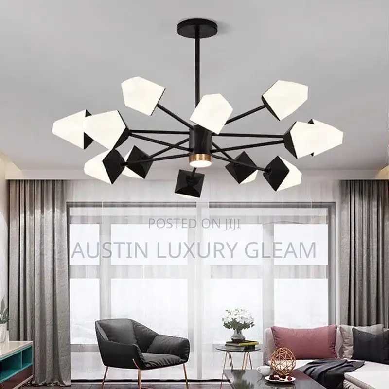 Designer Ceiling Light