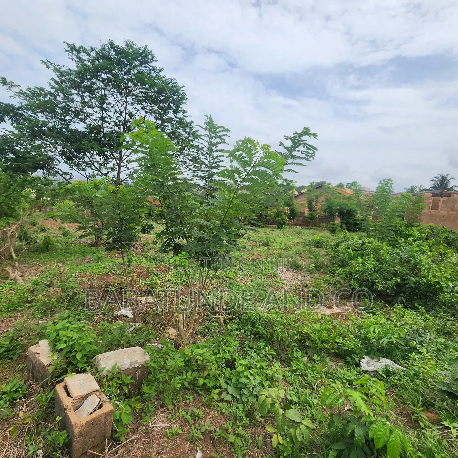A Plot of Land at Ojimi Apata