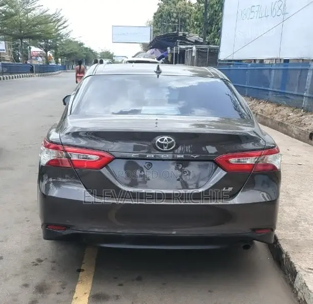 Toyota Camry SE (2.5L 4cyl 8A) 2019 Gray