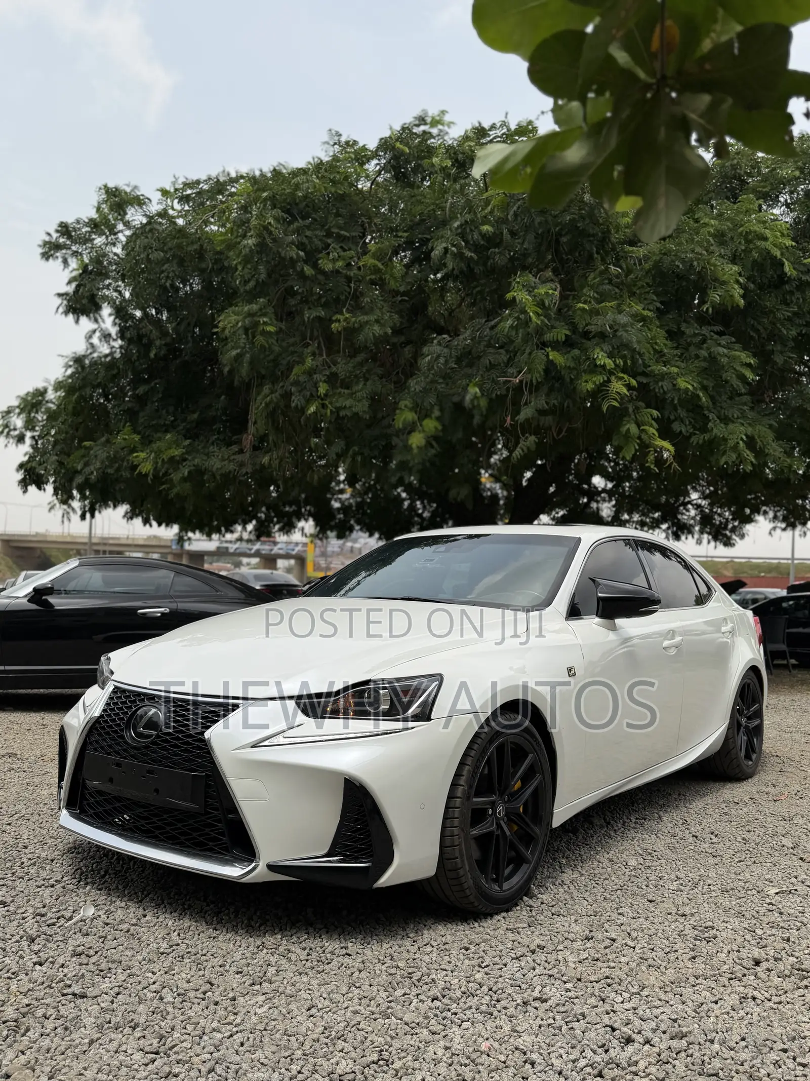 Lexus IS 350 2020 White