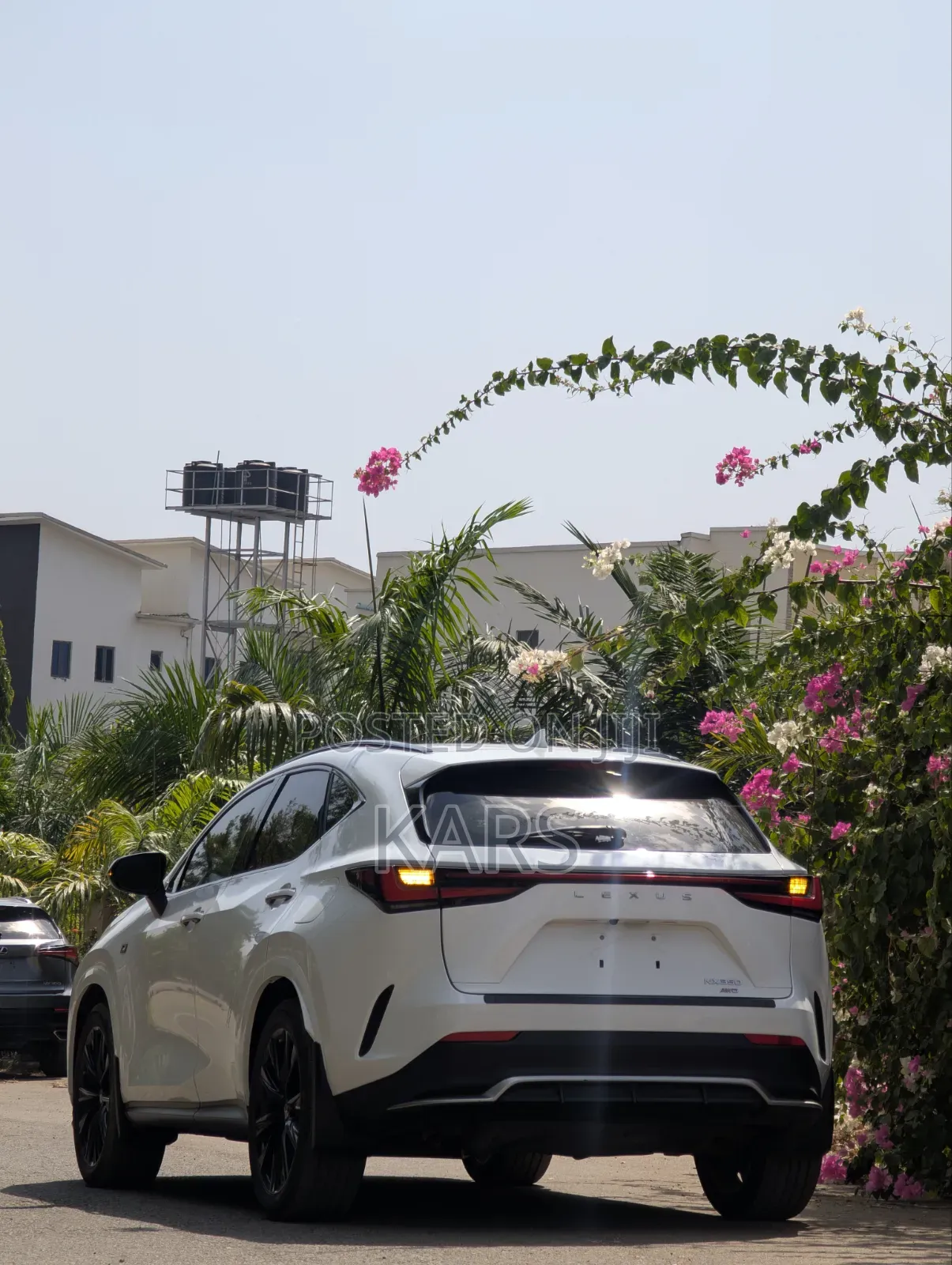 Lexus NX 2022 White
