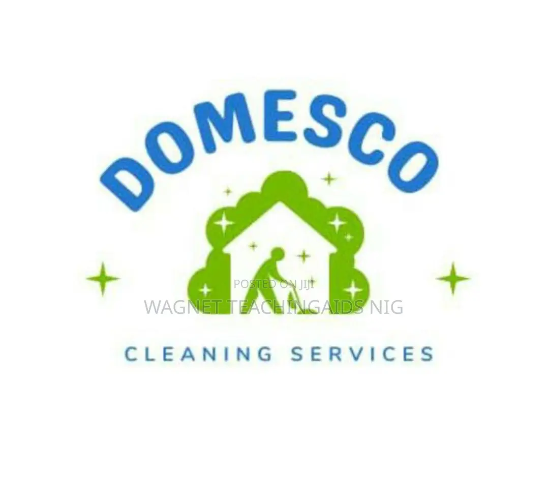 Professional Cleaning Service In Abuja