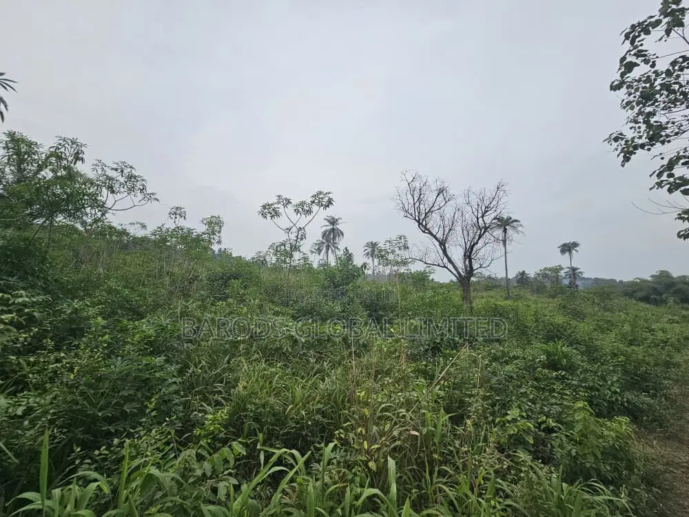 44 Acres of Farmland for Sale