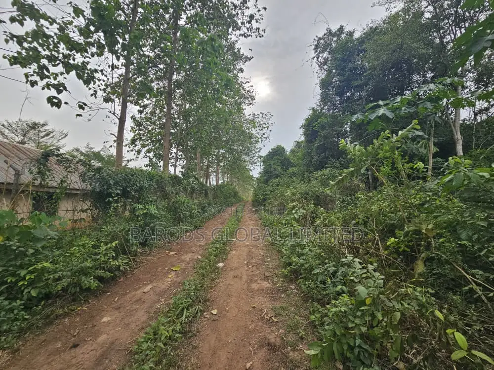 44 Acres of Farmland for Sale