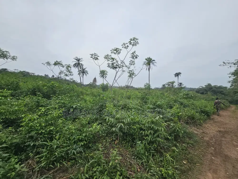 44 Acres of Farmland for Sale
