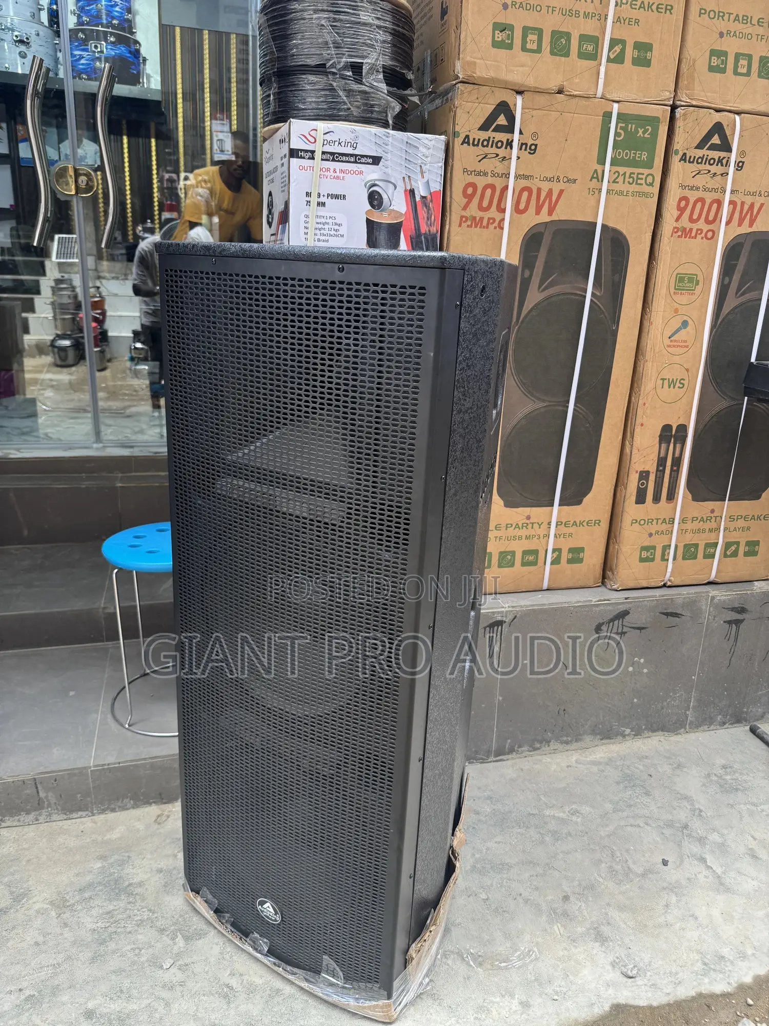 Audio King Full Range Speakers